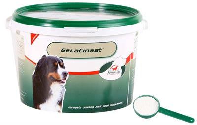 Primeval Gelatinaat Hond | Petzi online dierenwinkel