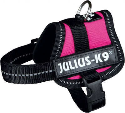 Julius K9 Power-Harnas / Tuig Voor Labels Fuchsia | Petzi online dierenwinkel