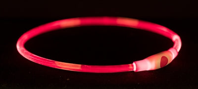 Trixie Lichtgevende Halsband Usb Flash Light| Halsband met verlichting | Petzi online dierenwinkel