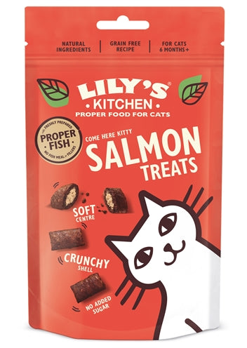 Lily's Kitchen Salmon Treats | Petzi online dierenwinkel