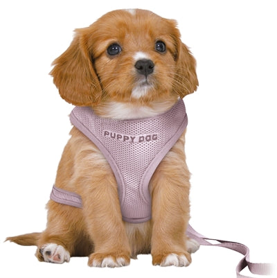 Trixie Hondentuig Junior Puppy Softtuig Met Riem Lila | Petzi online dierenwinkel