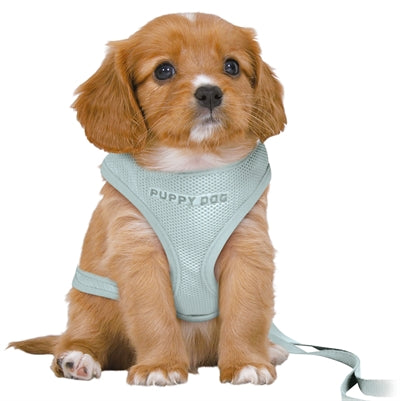 Trixie Hondentuig Junior Puppy Softtuig Met Riem Mintgroen | Petzi online dierenwinkel