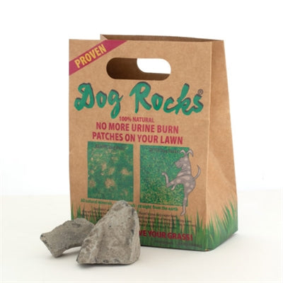 Dog Rocks | Petzi online dierenwinkel