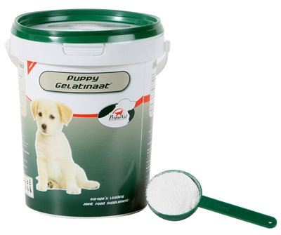 Primeval Gelatinaat Puppy | Petzi online dierenwinkel