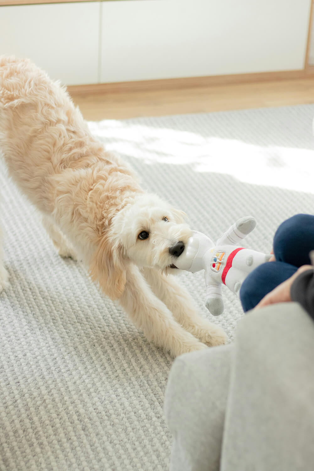 Samen spelen met je puppy